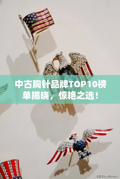 中古胸針品牌TOP10榜單揭曉，驚艷之選！