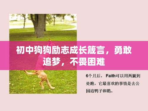 初中狗狗勵(lì)志成長箴言，勇敢追夢(mèng)，不畏困難