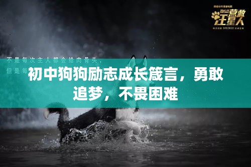 初中狗狗勵志成長箴言,勇敢追夢,不畏困難