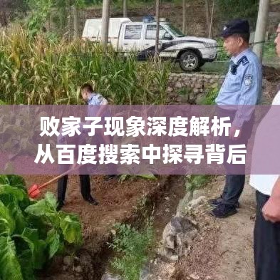 敗家子現象深度解析，從百度搜索中探尋背后的故事