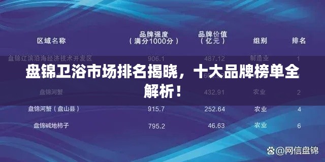 盤錦衛(wèi)浴市場排名揭曉,十大品牌榜單全解析!