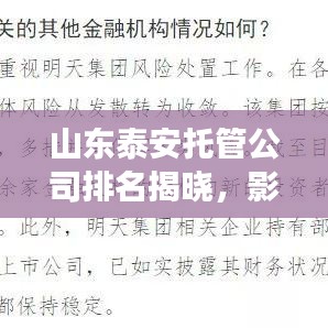 山東泰安托管公司排名揭曉，影響力深度剖析