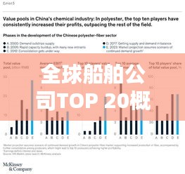 全球船舶公司TOP 20概覽,排名與實(shí)力解析