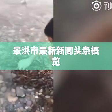 景洪市最新新聞頭條概覽