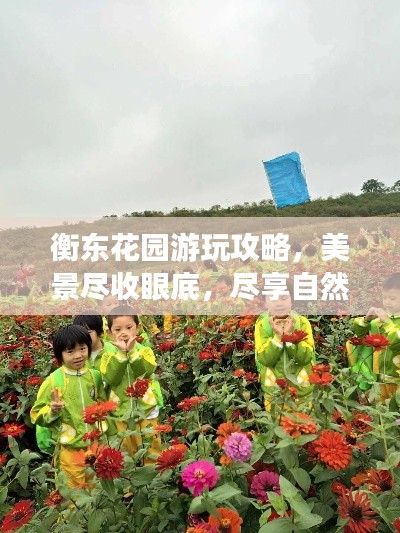 衡東花園游玩攻略，美景盡收眼底，盡享自然之旅！