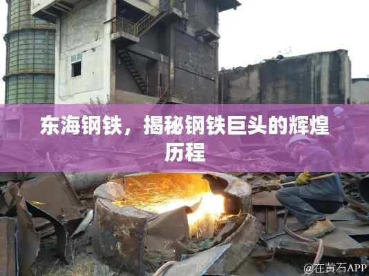 東海鋼鐵，揭秘鋼鐵巨頭的輝煌歷程