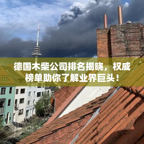 德國木柴公司排名揭曉,權威榜單助你了解業界巨頭!