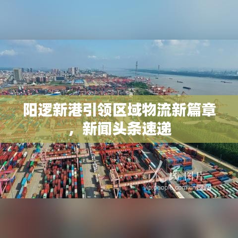 陽邏新港引領(lǐng)區(qū)域物流新篇章，新聞頭條速遞