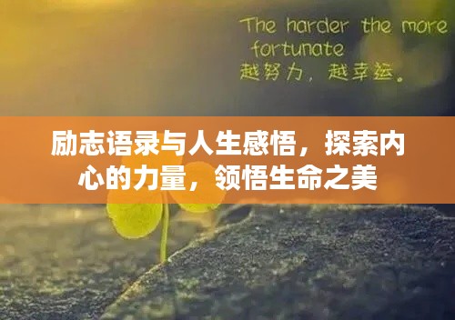 勵志語錄與人生感悟,探索內心的力量,領悟生命之美