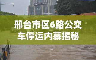 邢臺(tái)市區(qū)6路公交車停運(yùn)內(nèi)幕揭秘,最新動(dòng)態(tài)一網(wǎng)打盡