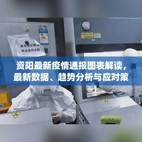 資陽最新疫情通報圖表解讀,最新數據、趨勢分析與應對策略