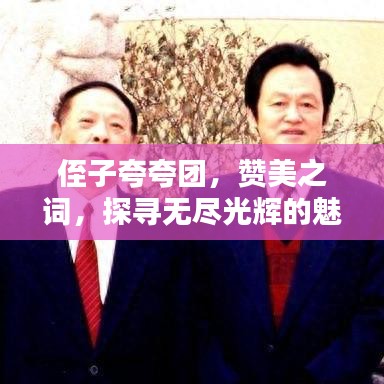 侄子夸夸團,贊美之詞,探尋無盡光輝的魅力