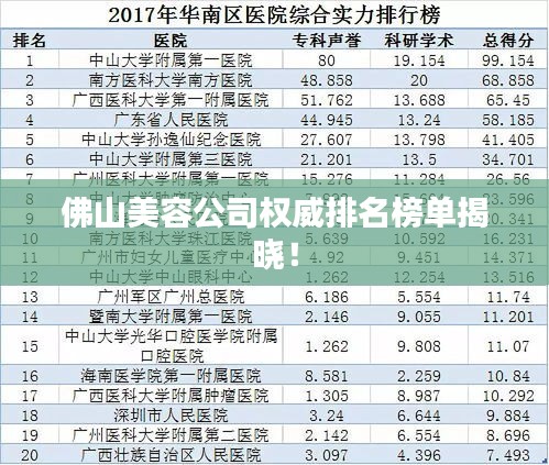 佛山美容公司權(quán)威排名榜單揭曉！