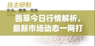 茜草今日行情解析,最新市場動態(tài)一網(wǎng)打盡!
