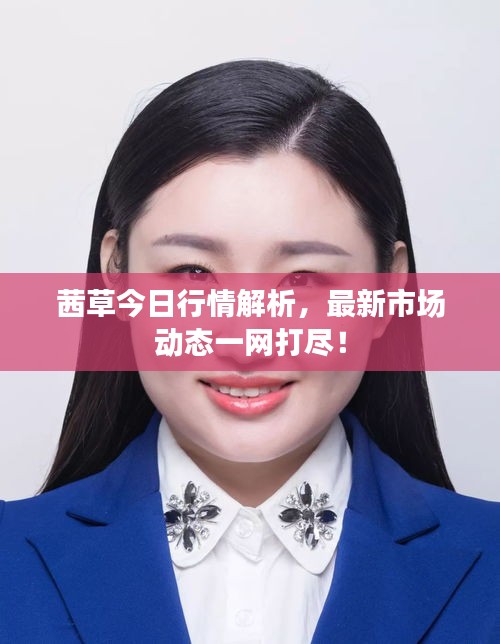 茜草今日行情解析,最新市場動態(tài)一網(wǎng)打盡!