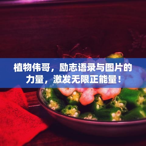 植物偉哥,勵志語錄與圖片的力量,激發無限正能量!