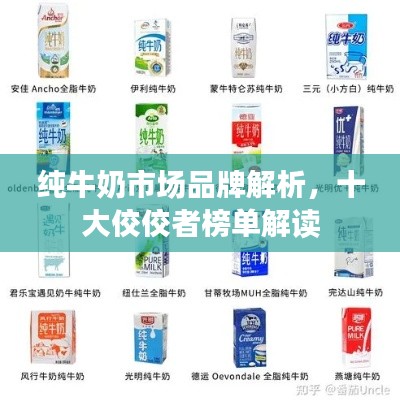 純牛奶市場品牌解析,十大佼佼者榜單解讀