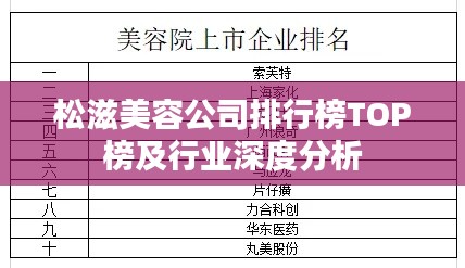 松滋美容公司排行榜TOP榜及行業深度分析