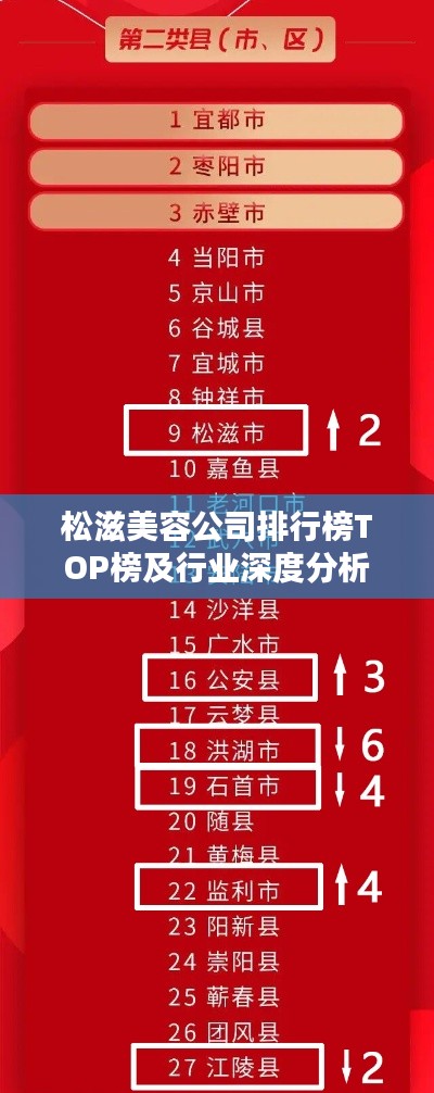 松滋美容公司排行榜TOP榜及行業(yè)深度分析