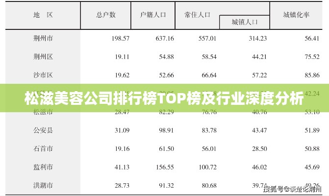 松滋美容公司排行榜TOP榜及行業(yè)深度分析