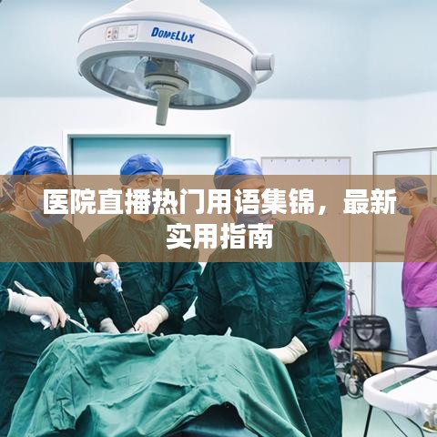 醫院直播熱門用語集錦，最新實用指南