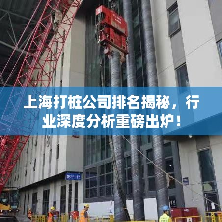 上海打樁公司排名揭秘,行業深度分析重磅出爐!