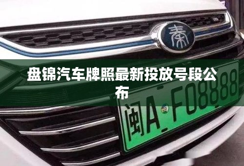 盤錦汽車牌照最新投放號段公布