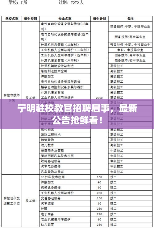 寧明駐校教官招聘啟事,最新公告搶鮮看!