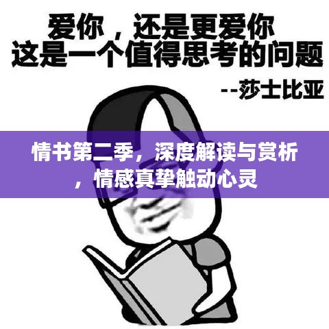情書第二季,深度解讀與賞析,情感真摯觸動心靈