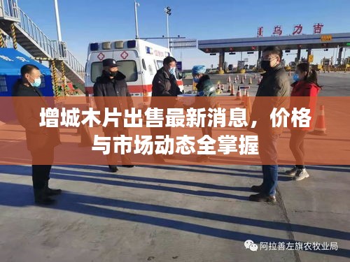 增城木片出售最新消息,價格與市場動態全掌握