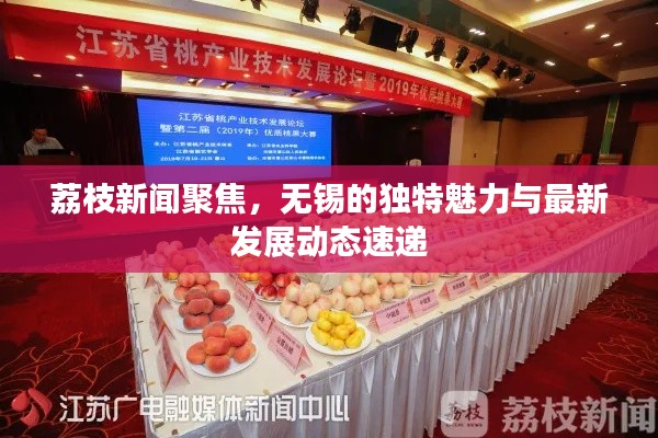 荔枝新聞聚焦,無錫的獨特魅力與最新發展動態速遞