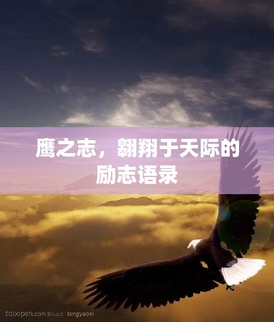 鷹之志,翱翔于天際的勵志語錄