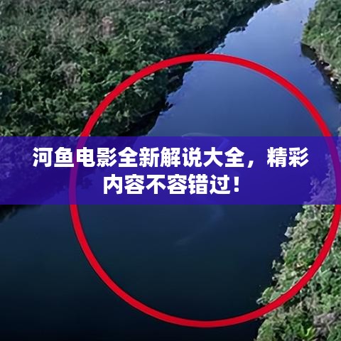 河魚電影全新解說大全,精彩內容不容錯過!