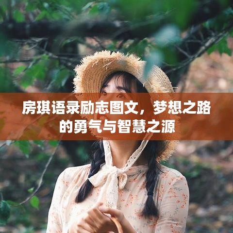 房琪語錄勵志圖文,夢想之路的勇氣與智慧之源