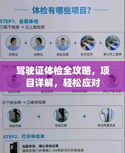 駕駛證體檢全攻略,項目詳解,輕松應對