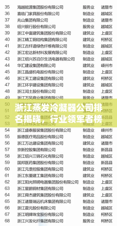 浙江蒸發(fā)冷凝器公司排名揭曉,行業(yè)領(lǐng)軍者榜單重磅出爐!