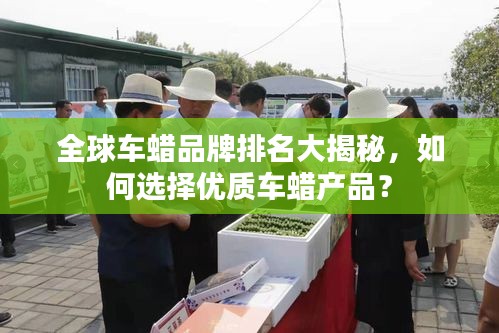 全球車蠟品牌排名大揭秘，如何選擇優質車蠟產品？