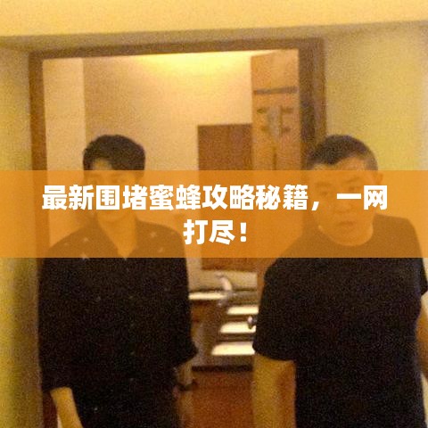最新圍堵蜜蜂攻略秘籍，一網打盡！