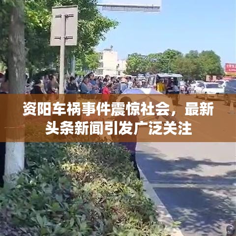 資陽車禍事件震驚社會,最新頭條新聞引發廣泛關注