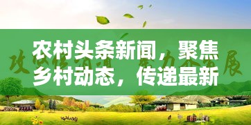 農(nóng)村頭條新聞,聚焦鄉(xiāng)村動態(tài),傳遞最新資訊