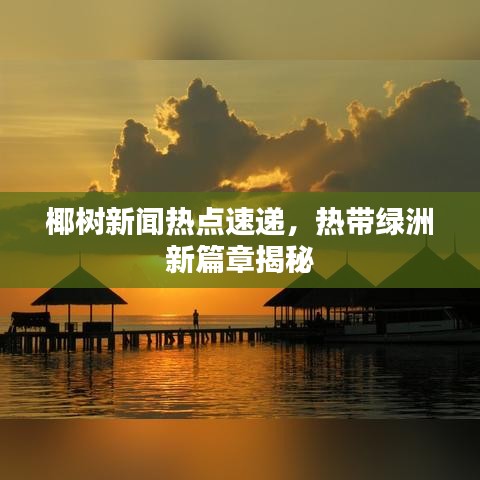 椰樹新聞熱點速遞，熱帶綠洲新篇章揭秘