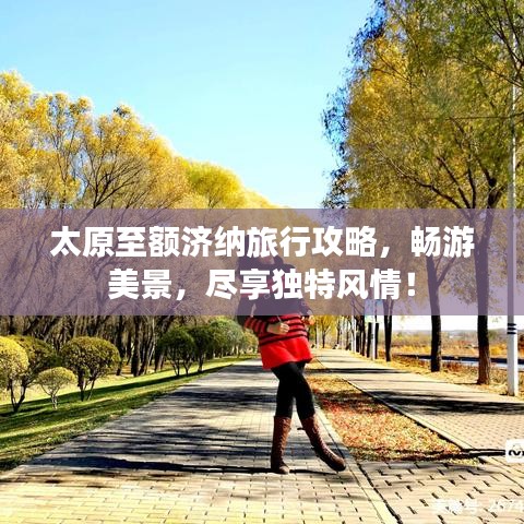 太原至額濟納旅行攻略，暢游美景，盡享獨特風情！