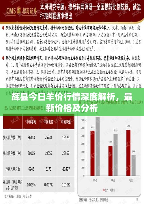 輝縣今日羊價行情深度解析,最新價格及分析
