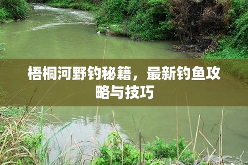 梧桐河野釣秘籍,最新釣魚攻略與技巧