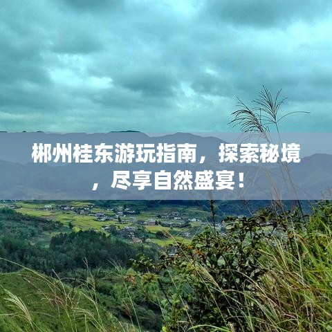 郴州桂東游玩指南，探索秘境，盡享自然盛宴！