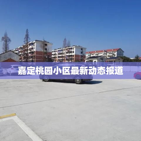 嘉定桃園小區最新動態報道