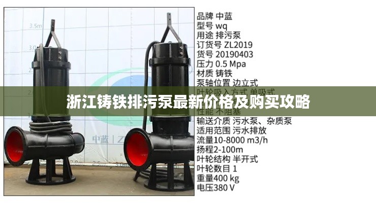 浙江鑄鐵排污泵最新價格及購買攻略