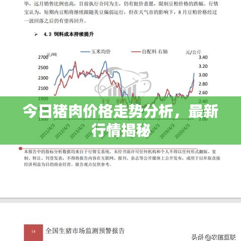 今日豬肉價格走勢分析,最新行情揭秘