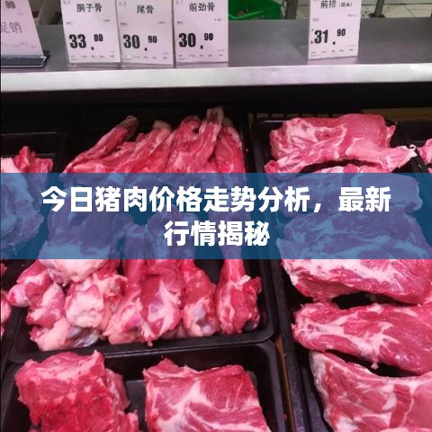 今日豬肉價格走勢分析,最新行情揭秘