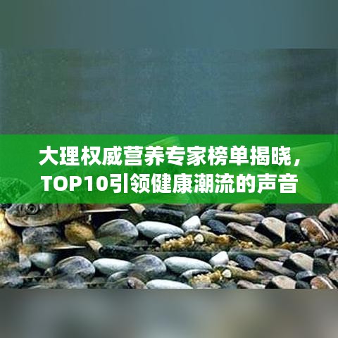 大理權威營養專家榜單揭曉，TOP10引領健康潮流的聲音